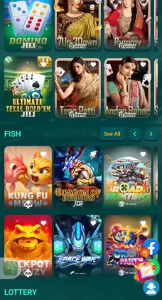 BN55 platform screen showing live casino, cricket sports betting, and e-sports categories with animated characters